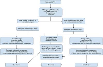 The role of endoscopic management and adjuvant topical therapy for upper tract urothelial cancer